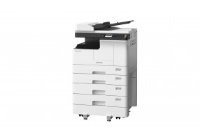 eS2329A RADF 4cst L AB NBG